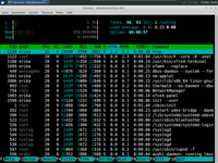 htop/htop.png