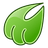 midori_logo.png