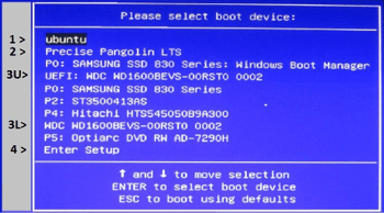 EFI_BOOT_MENU.JPG