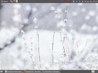 cinnamon_classic_desktop