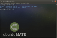 mate_terminal.png