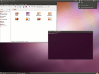 ubuntu1010.png