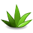 agave.png