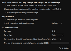 pidginTeX_optionen.png