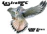 ./kestrel_logo.png