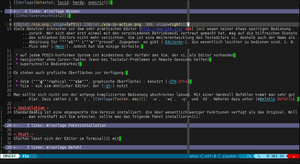 ./vim-in-action.png