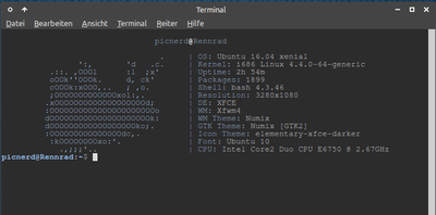 Terminal_mit_pimped_screenfetch.png