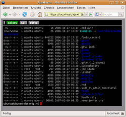 ./ajaxterm.png