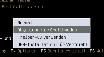 abgesicherter_grafikmodus.png