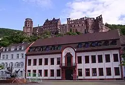 Heidelberger Akademie der Wissenschaften