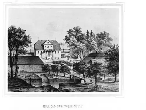 Gross - Schweidnitz