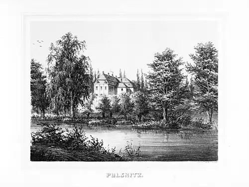 Pulsnitz