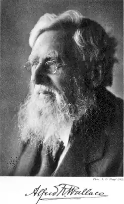 Alfred Russel Wallace