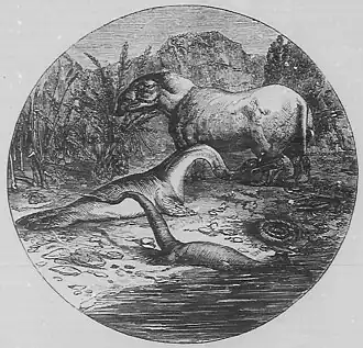 Seite 537 Plesiosauren und Paläotherium [ohne Signatur]