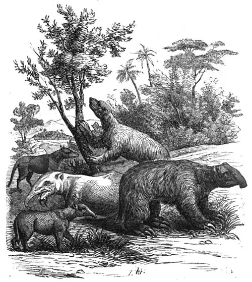 Die Gartenlaube (1854) b 151 2.jpg Die Säugethier -Sandsteinperiode