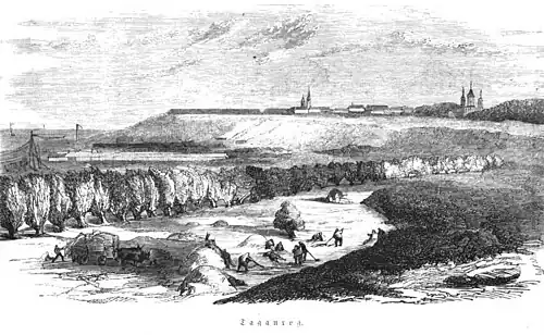Die Gartenlaube (1855) b 357.jpg Tanenrog