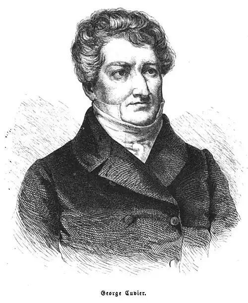 Die Gartenlaube (1855) b 611.jpg George Cuvier