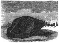 Die Gartenlaube (1856) b 116 3.jpg Napoleon’s Hüte 6