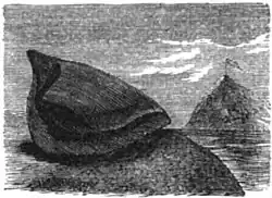 Die Gartenlaube (1856) b 116 5.jpg Napoleon’s Hüte 8