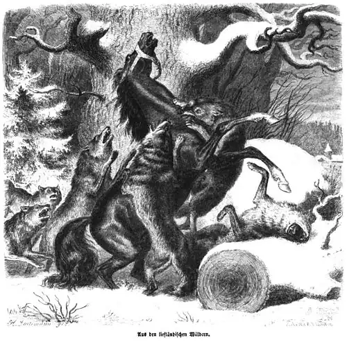 Die Gartenlaube (1856) b 469.jpg Aus den liefländischen Wäldern (Heinrich Leutemann)