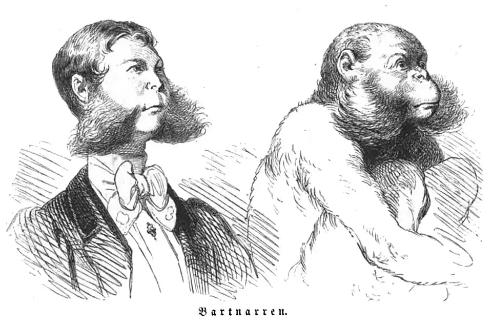 Die Gartenlaube (1857) b 125 3.jpg Bartnarren
