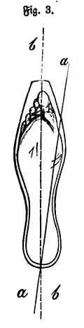 Die Gartenlaube (1857) b 373 3.jpg Fig. 3