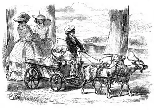 Die Gartenlaube (1857) b 511 1.jpg Equipage in Kösen (Ludwig Löffler)