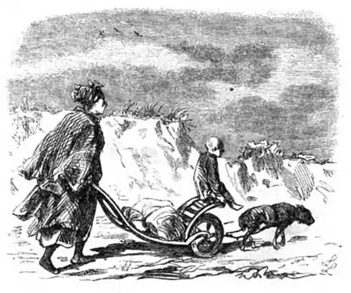 Die Gartenlaube (1857) b 523 2.jpg Equipage in Wimbach (Ludwig Löffler)