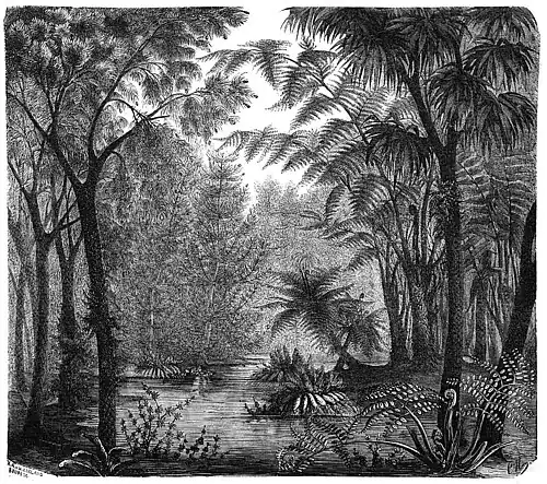 Die Gartenlaube (1858) b 573.jpg Ein Blick in einen Steinkohlenwald