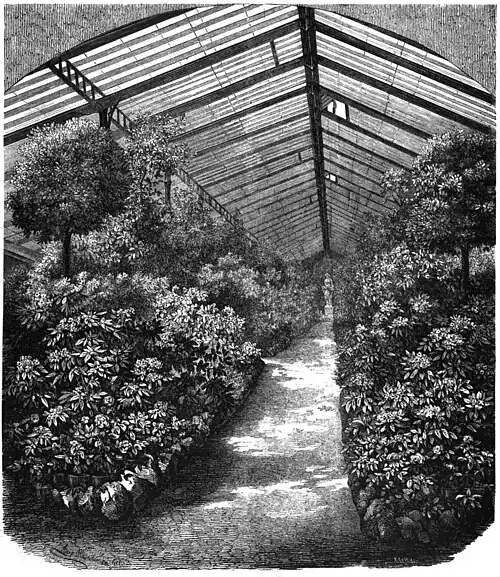 Die Gartenlaube (1859) b 068.jpg Die Blumenhalle des Dresdner Wintergartens
