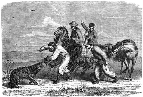 Die Gartenlaube (1859) b 205.jpg Wolfshetze in der Steppe