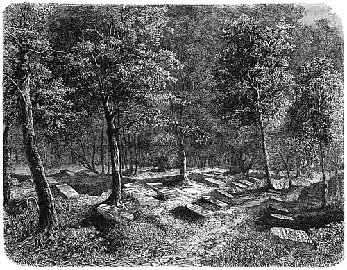 Die Gartenlaube (1859) b 213.jpg Der Schnepfenthaler Friedhof