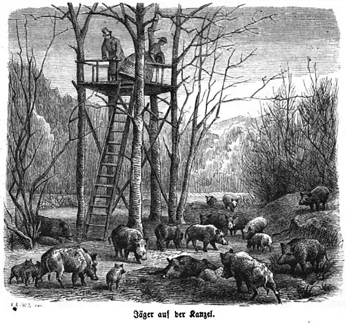Die Gartenlaube (1860) b 373 2.jpg Jäger auf der Kanzel