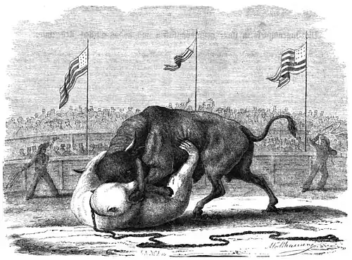 Die Gartenlaube (1860) b 413.jpg Kossuth im Kampfe mit Jenny Lind (Balduin Möllhausen)