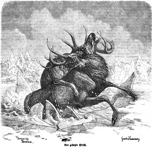 Die Gartenlaube (1861) b 149.jpg Der gehetzte Hirsch (Guido Hammer)