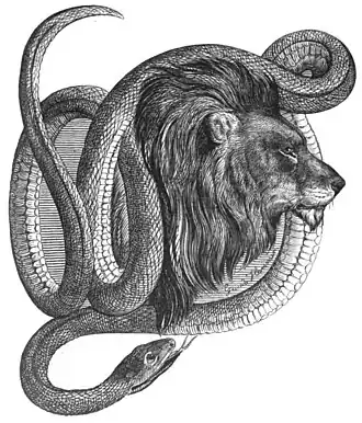 Die Gartenlaube (1861) b 300.jpg Auch ein Menageriebild (Guido Hammer)