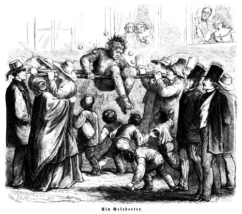 Die Gartenlaube (1861) b 309.jpg Ein Gefederter