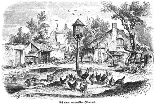 Die Gartenlaube (1861) b 780.jpg Auf einem norddeutschen Hühnerhofe