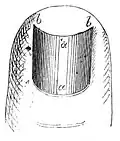 Die Gartenlaube (1862) b 057.jpg Zeh