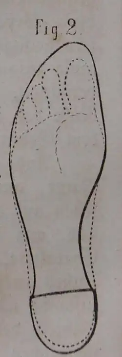 Die Gartenlaube (1863) b 071_2.jpg Fig. 2 Geschweiste Sohle
