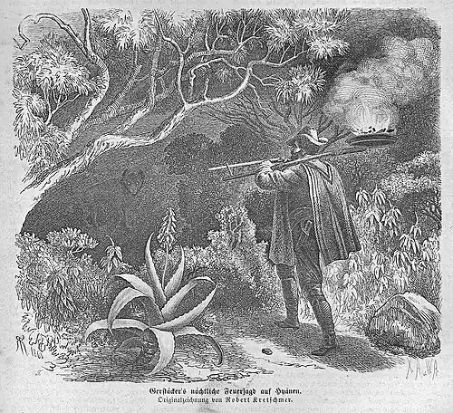 Die Gartenlaube (1863) b 211.jpg Gerstäcker’s nächtliche Feuerjagd auf Hyänen. Originalzeichnung von Robert Kretschmer