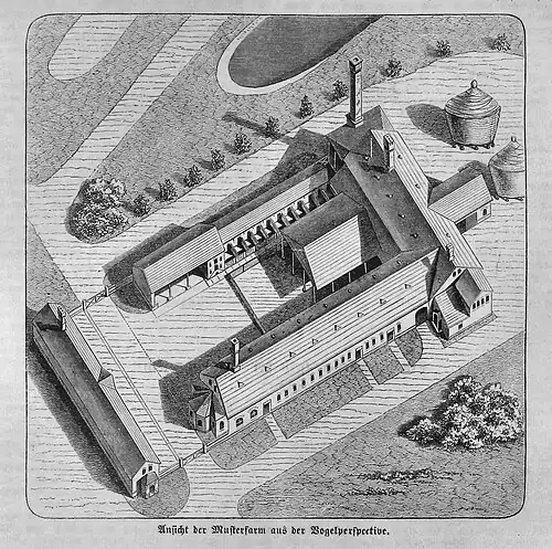 Die Gartenlaube (1863) b 581.jpg Ansicht der Musterfarm aus der Vogelperspektive