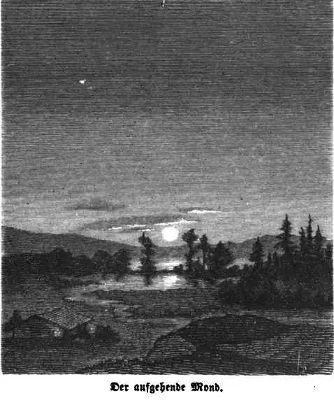 Die Gartenlaube (1864) b 040.jpg Der aufgehende Mond