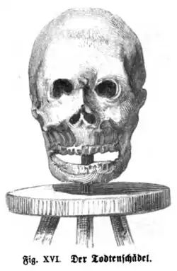 Die Gartenlaube (1864) b 605 4.jpg Fig. XVI. Der Todtenschädel