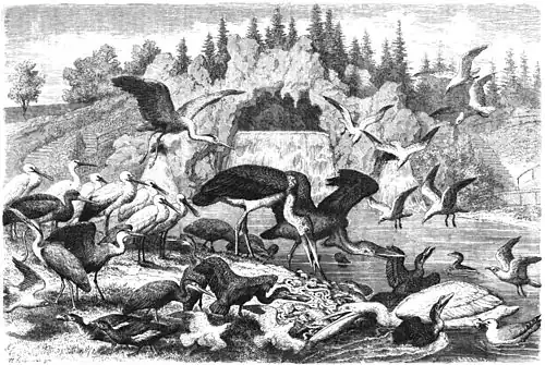 Die Gartenlaube (1865) b 021.jpg (S) Unter dem Wasserfall im Thiergarten zu Hamburg Nach der Natur gezeichnet von H. Leutemann