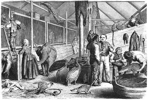 Die Gartenlaube (1865) b 701.jpg (S) Ein Morgen in der Menagerie. Nach der Natur gezeichnet von H. Leutemann