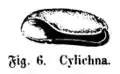 Die Gartenlaube (1865) b 710 4.jpg Fig. 6. Cylichna.