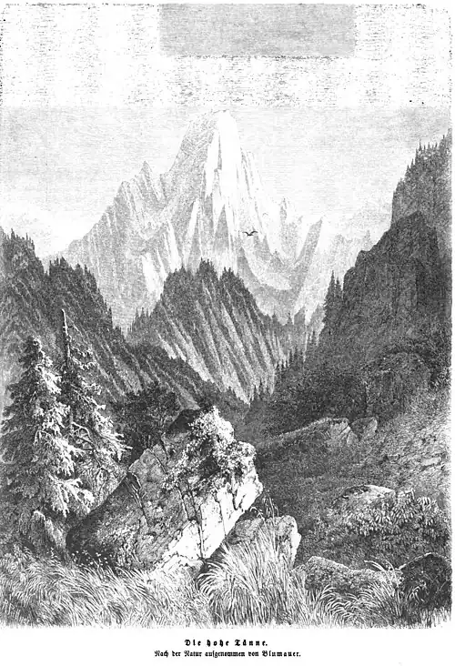 Die Gartenlaube (1865) b 812.jpg (S) Die hohe Tänne. Nach der Natur aufgenommen von Blumauer