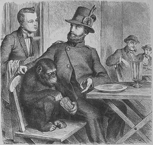 Die Gartenlaube (1866) b 229.jpg Molli im Kaffeehaus. Nach der Natur gezeichnet von H. Leutemann.