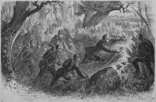 Die Gartenlaube (1866) b 469.jpg (S) Am Saume des Nachoder Waldes.